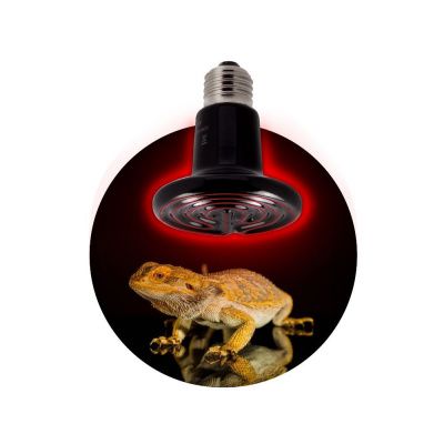 ЭРА LED FITO-100W-HQ E27 инфракрасная лампа керамическая серия RX для брудера, рептилий