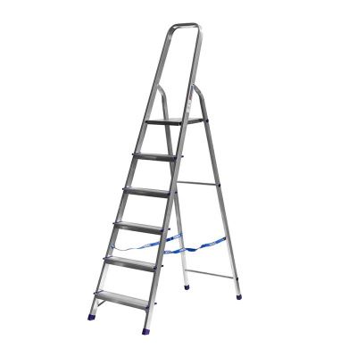 050491